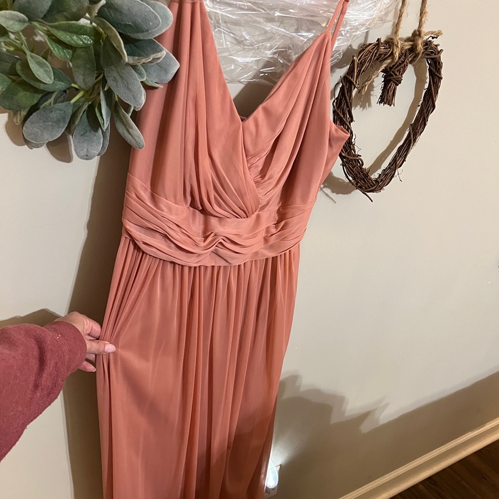 David’s bridal size 10 dress